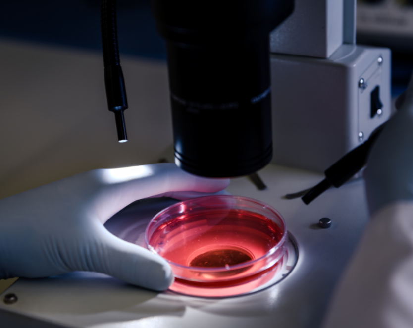 Microscopy & Imaging