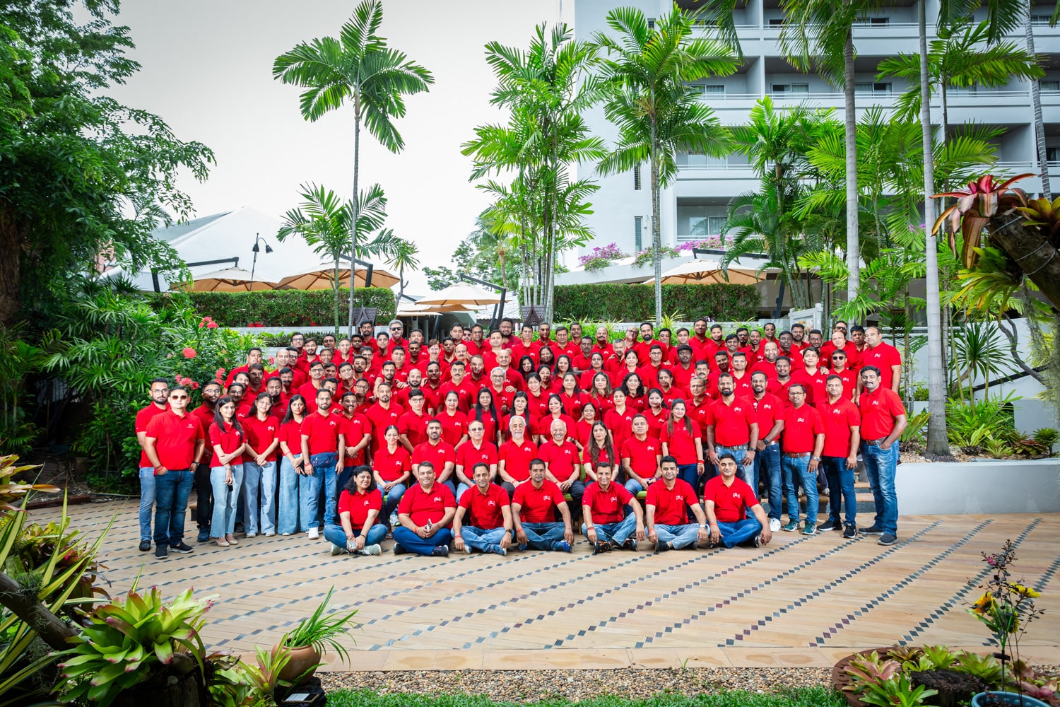 About DSS Imagetech
